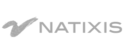 natixis logo